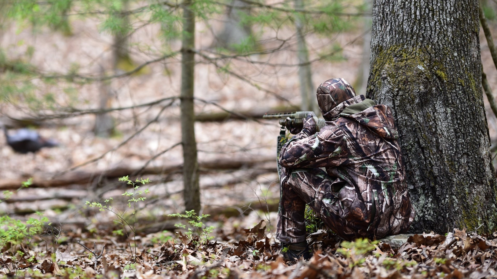 NEW VIEW Hunting | Keep Silent, Stay Hidden – NewView Hunting